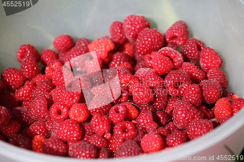 Image of Fresh autumn raspberries in white bowl.