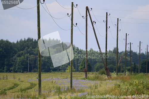 Image of Power poles next to forest.