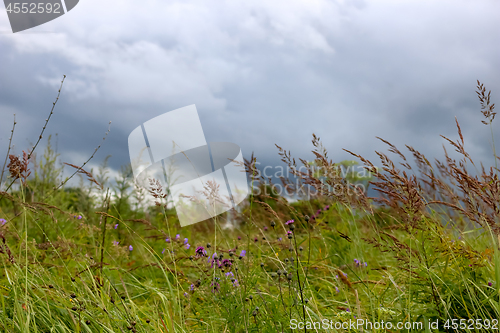 Image of Meadow and sky in Latvia.