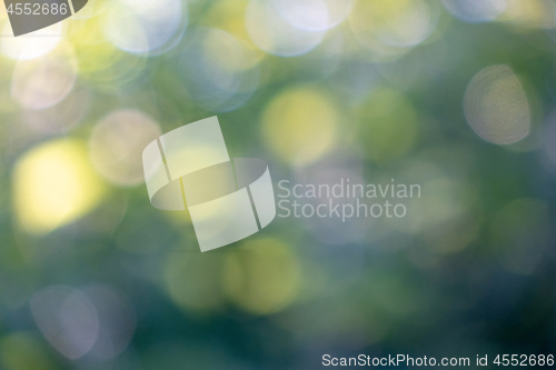 Image of Yellow and blue bokeh circles on a blurred natural green background. Beautiful layout for your ideas