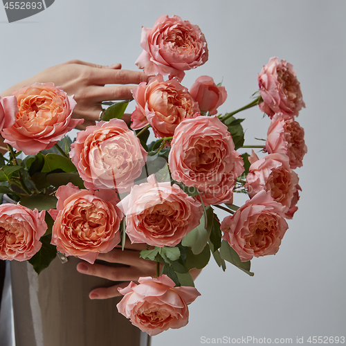 Image of Female hands hold a vase with pink roses on a gray background. A gift for women\'s day