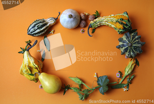 Image of frame of decorative pumpkins on an orange background