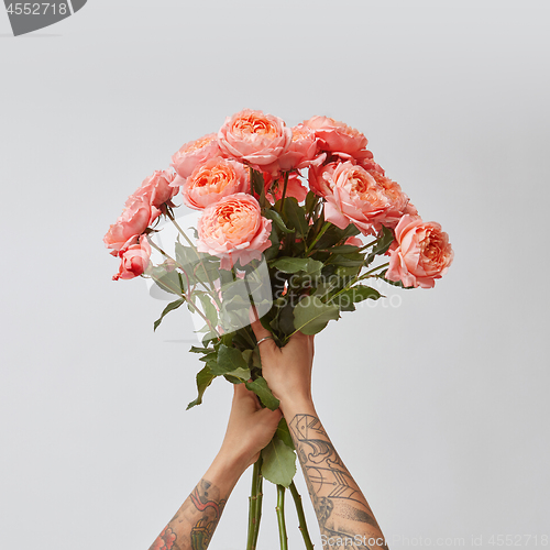 Image of Girl\'s hands with tattoo hold a bouquet of fresh roses in a color of the year 2019 Living Coral Pantone on a gray background.