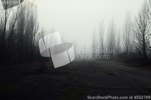Image of Dark abandoned road in the forest
