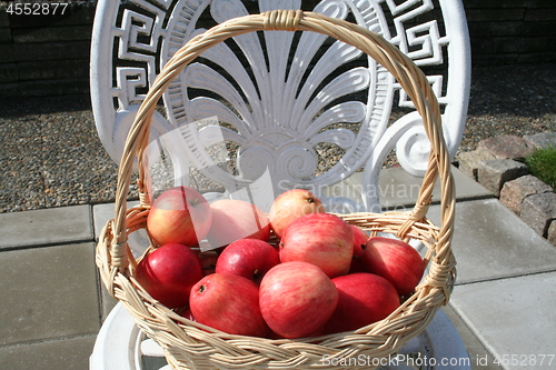 Image of Swedish James Grieve apples