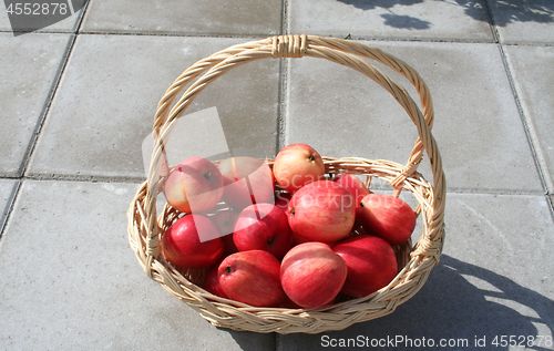 Image of James Grieve apples