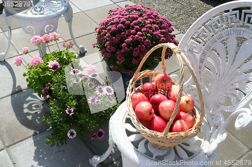 Image of James Grieve apples and beautiful autumn flowers