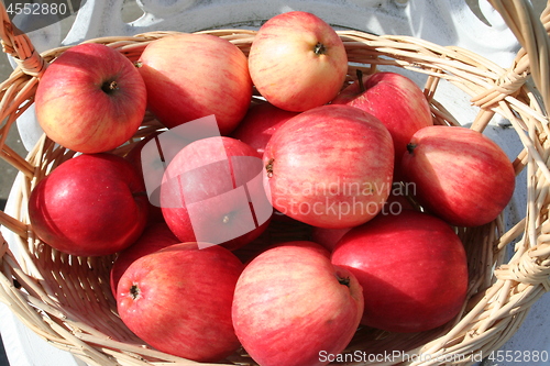 Image of Swedish James Grive apples in basket