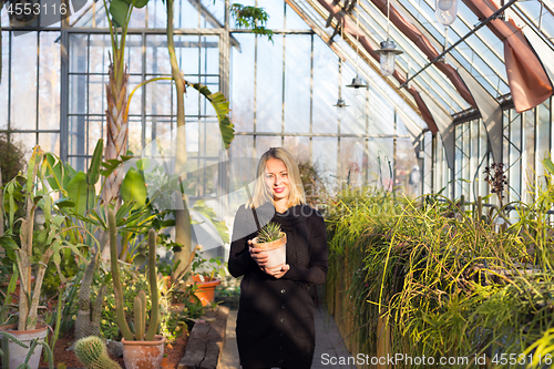 Image of Florists woman working in greenhouse. 