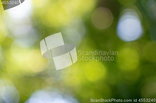 Image of Yellow and white bokeh circles on green blurred background. Natural creative layout