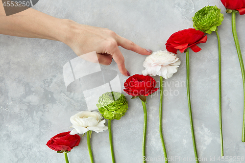 Image of beautiful different flowers on a gray background