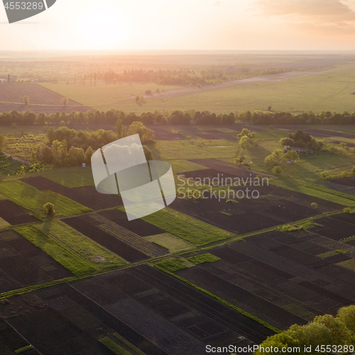 Image of Aerial view of the field and trees at sunset. Photo from the drone