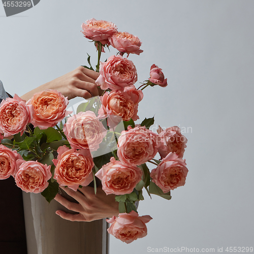 Image of A big bright bouquet of pink roses in a vase is held by women\'s hands on a gray background with a copy space. Card