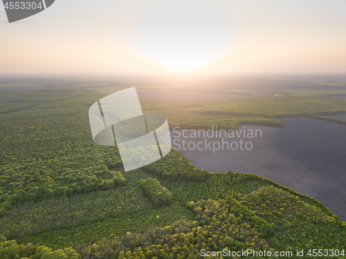 Image of Aerial view from the drone, a bird\'s eye view to the forest with green spaces and agricultural field at sunset in the summer evening,