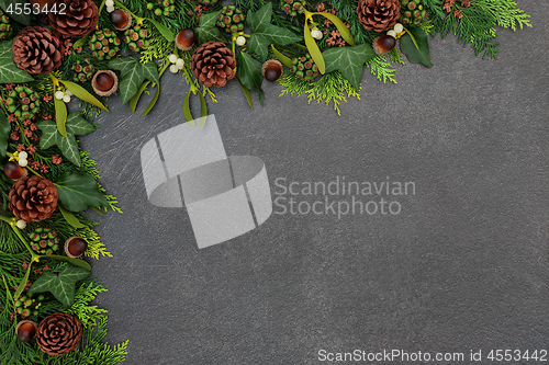 Image of Natural Winter Background Border