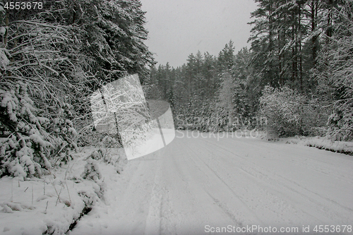 Image of Beautiful winter landscape with snowy road in the winter forest.