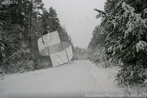 Image of Beautiful winter landscape with snowy road in the winter forest.