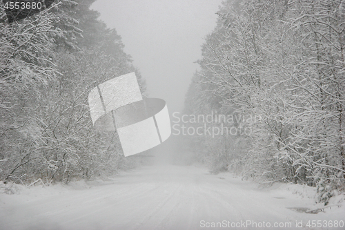 Image of Beautiful winter landscape with snowy road in the winter forest.