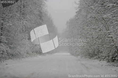 Image of Beautiful winter landscape with snowy road in the winter forest.