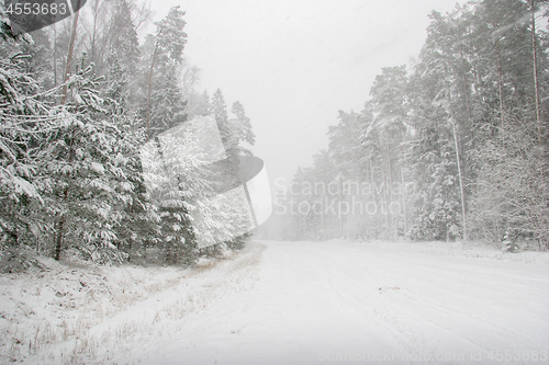 Image of Beautiful winter landscape with snowy road in the winter forest.