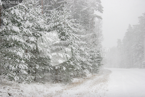 Image of Beautiful winter landscape with snowy road in the winter forest.