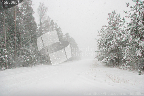 Image of Beautiful winter landscape with snowy road in the winter forest.