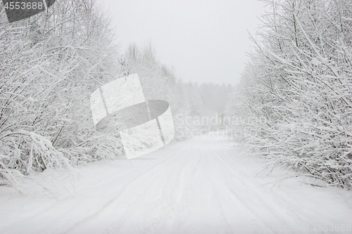 Image of Beautiful winter landscape with snowy road in the winter forest.