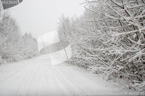 Image of Beautiful winter landscape with snowy road in the winter forest.