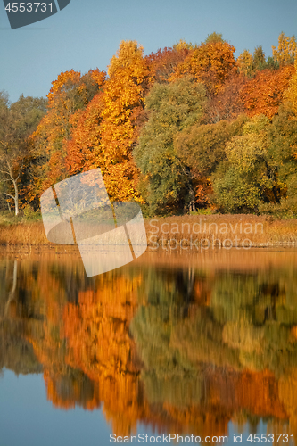 Image of Autumn landscape with colorful trees and reflection in river. 