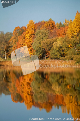 Image of Autumn landscape with colorful trees and reflection in river. 