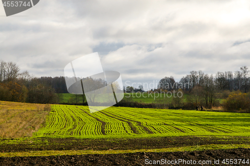 Image of Treated field and blue sky