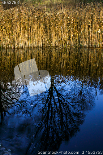 Image of Autumn landscape with colorful trees and river. Reflection in ri