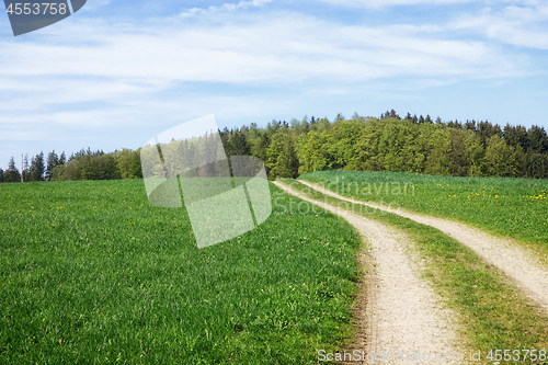 Image of path in a green meadow nature scenery landscape