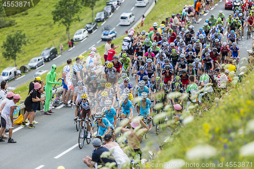 Image of The Peloton on Col de Peyresourde - Tour de France 2014