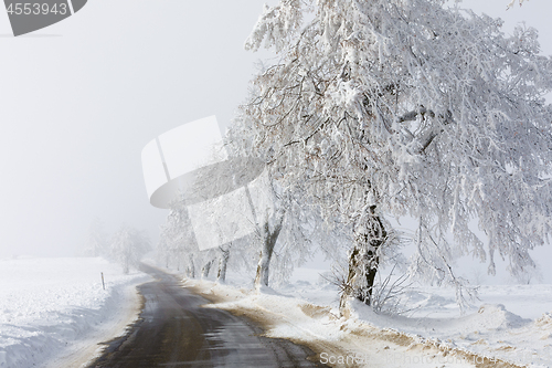 Image of countryside rural winter road going in to the fog