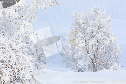 Image of countryside rural winter road going in to the fog