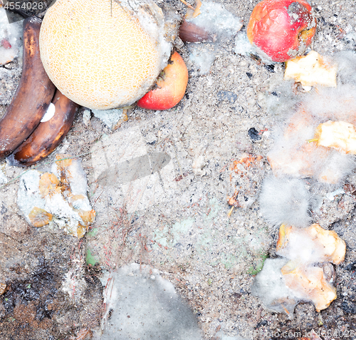 Image of Decaying fruit in a dustbin