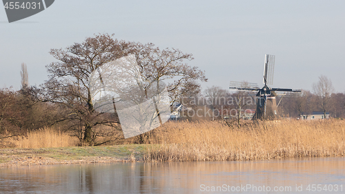 Image of Tree and reeds at a lake