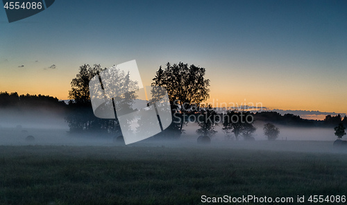 Image of Evening fog in european field