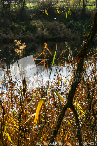 Image of Autumn landscape with colorful trees and river. 