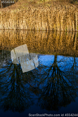 Image of Autumn landscape with colorful trees, yellow grass and river. Re