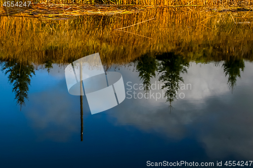 Image of Autumn landscape with colorful trees, yellow grass and river. Re