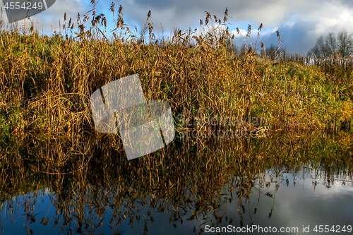 Image of Autumn landscape with yellow grass and river. Reflection in rive