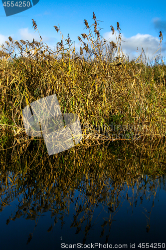 Image of Autumn landscape with yellow grass and river. Reflection in rive