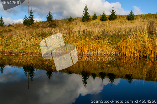 Image of Autumn landscape with colorful trees, yellow grass and river. Re