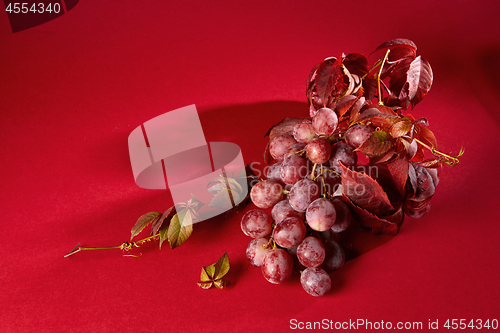 Image of bunch of ripe red grapes