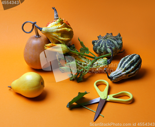 Image of composition of decorative pumpkins and pears