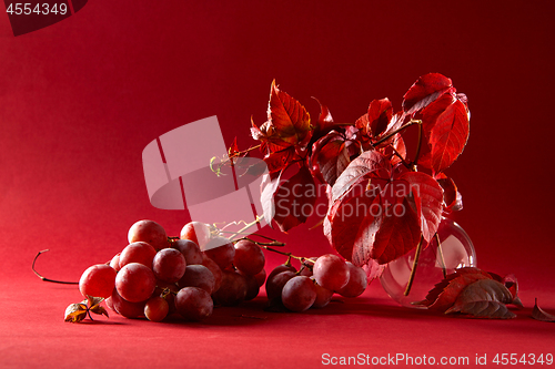 Image of bunch of ripe red grapes