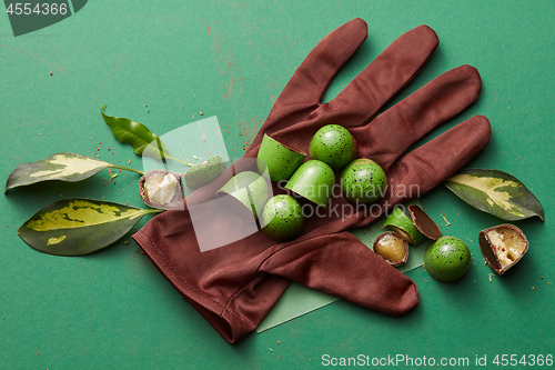 Image of green chocolate candy with jelly