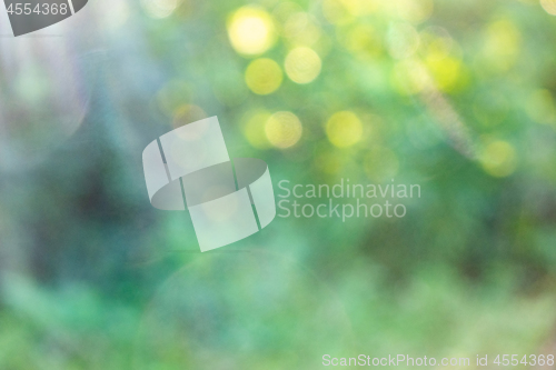 Image of Green spring blurred background with yellow bokeh circles. Natural layout.